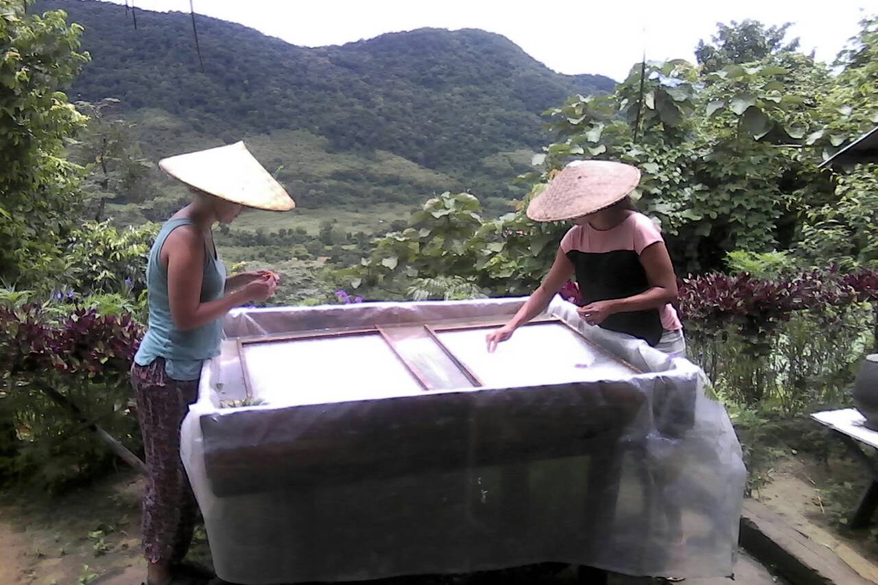 mulberry paper workshop luang prabang