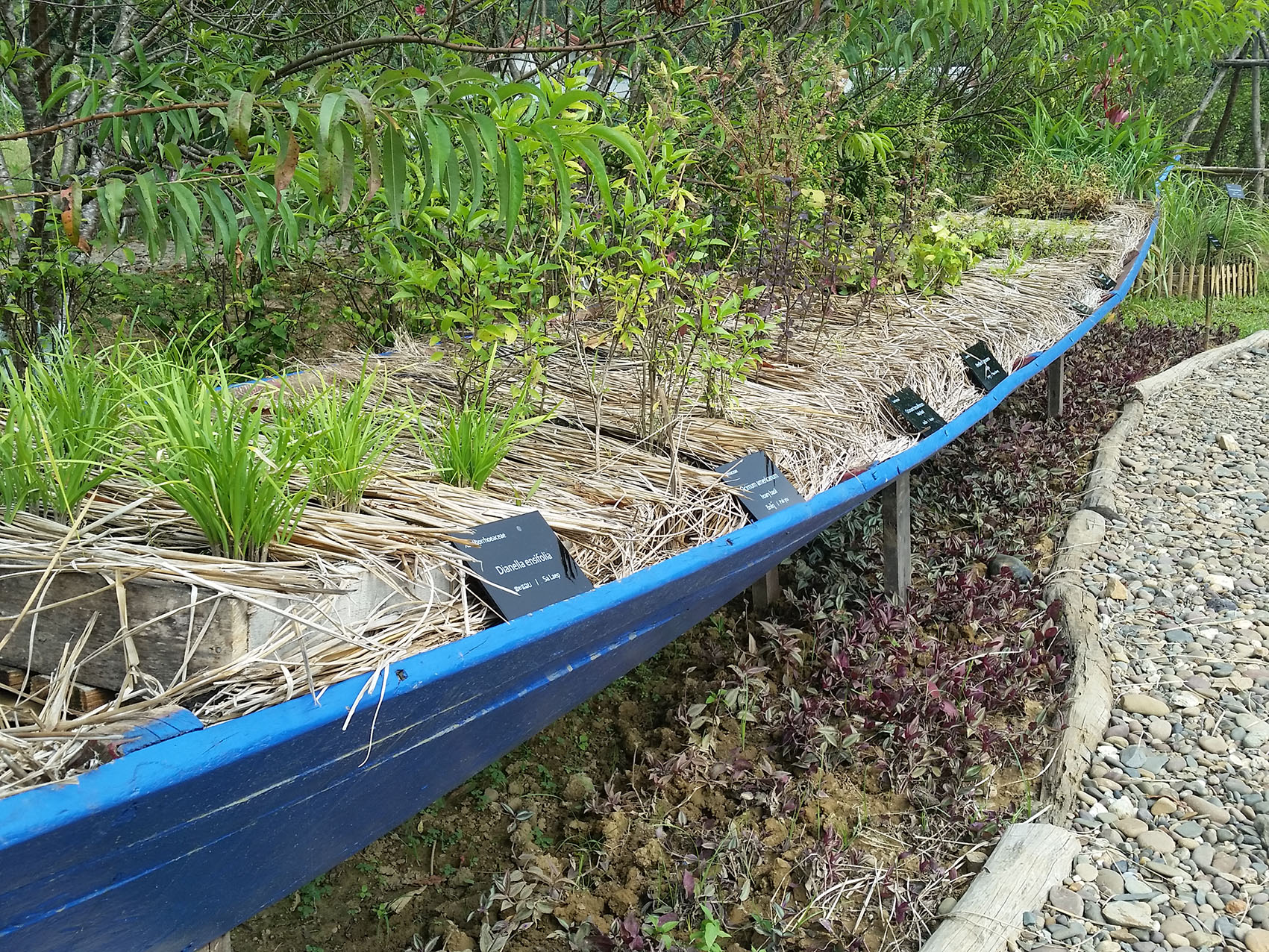 The garden of Senses